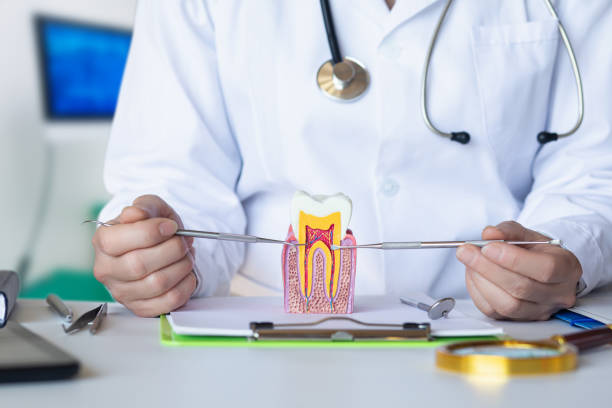 Best Root Canal Emergency Dentist  in Hoffman Estates, IL